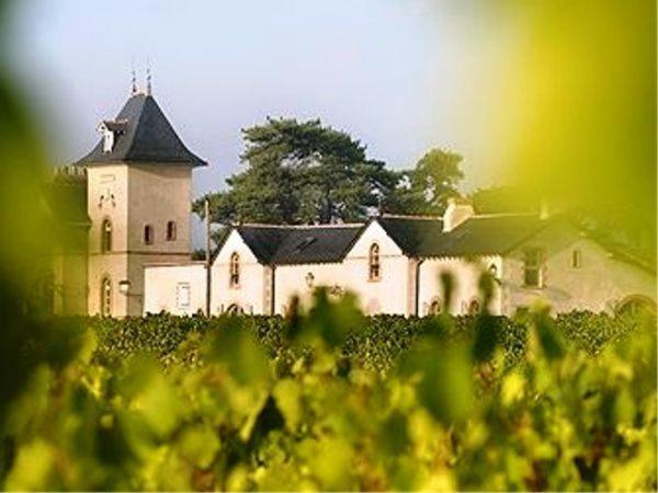 Domaine De La Soucherie - Chambres D'Hotes Beaulieu-sur-Layon Exterior foto