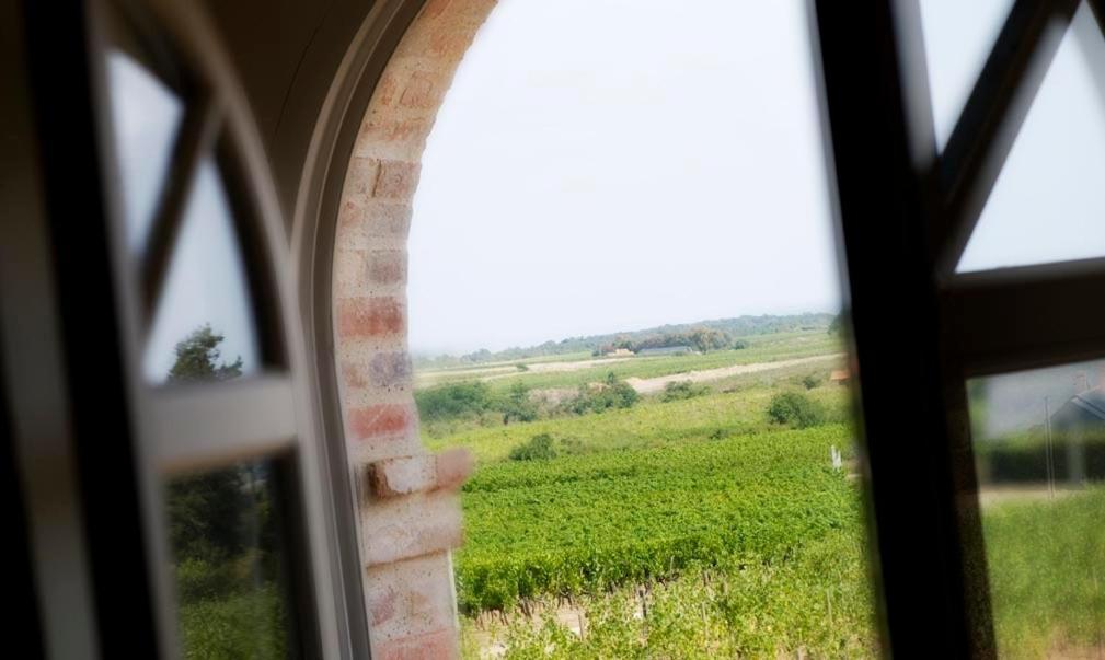 Domaine De La Soucherie - Chambres D'Hotes Beaulieu-sur-Layon Exterior foto