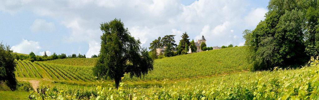 Domaine De La Soucherie - Chambres D'Hotes Beaulieu-sur-Layon Exterior foto