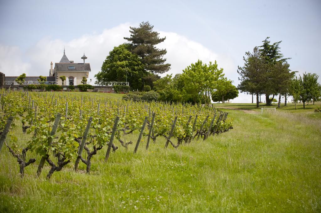 Domaine De La Soucherie - Chambres D'Hotes Beaulieu-sur-Layon Exterior foto