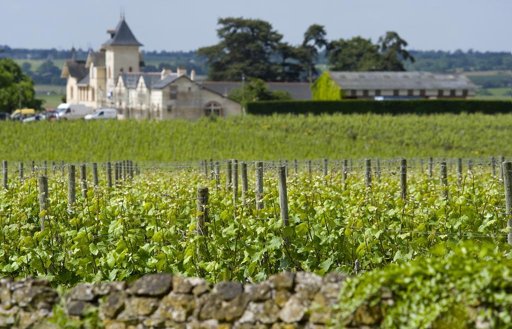 Domaine De La Soucherie - Chambres D'Hotes Beaulieu-sur-Layon Exterior foto