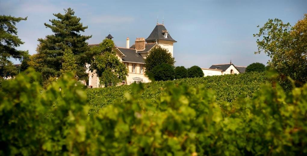 Domaine De La Soucherie - Chambres D'Hotes Beaulieu-sur-Layon Exterior foto